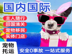 滨海机场空运国际宠物托运 【国